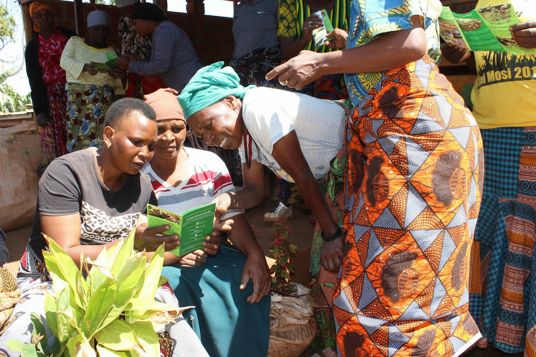 Impact Projects