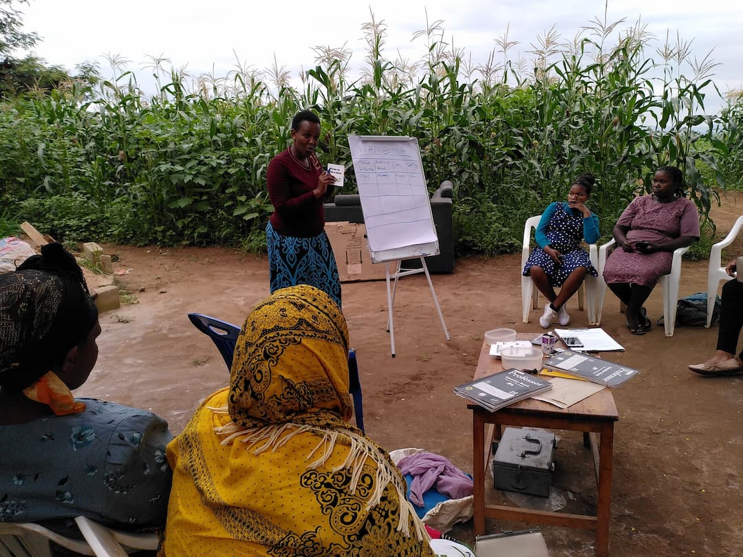 Training & Consultation